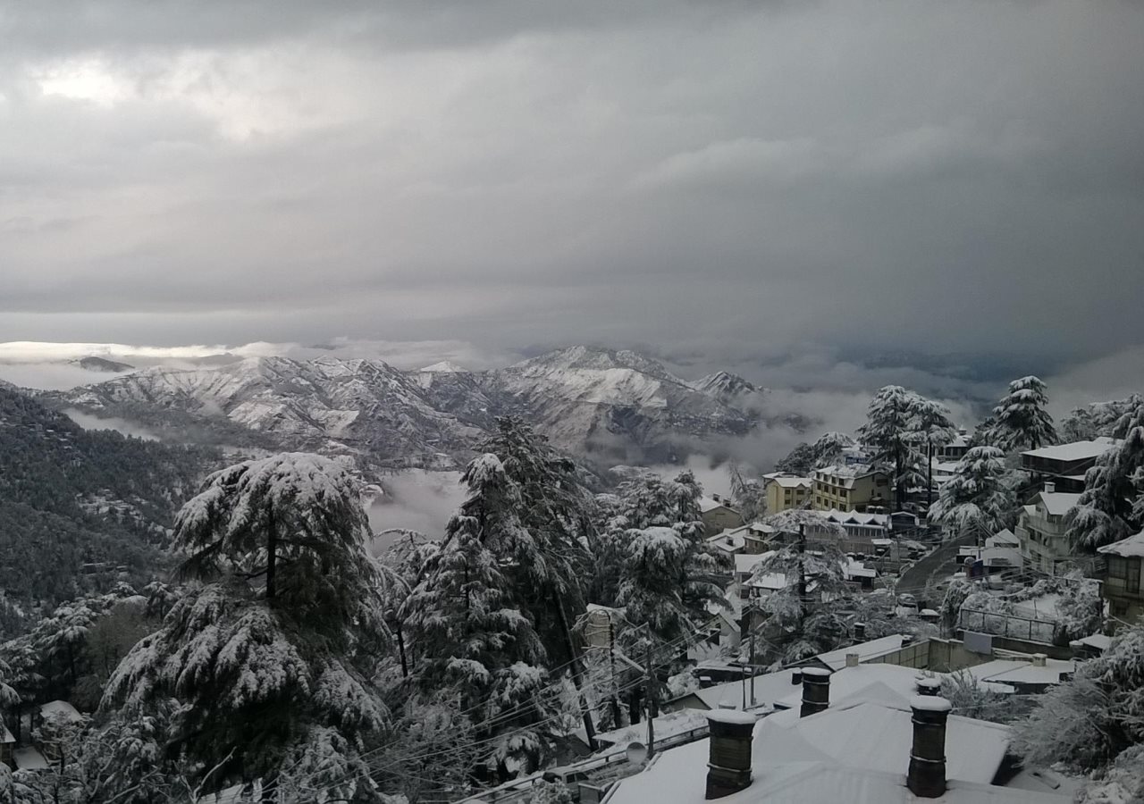 shimla