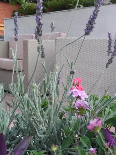 Hotel Branca,Cosenza>>Calabria,3 star