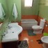 alfreds apartments