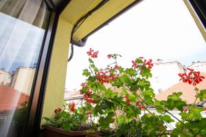 heartland city hotel