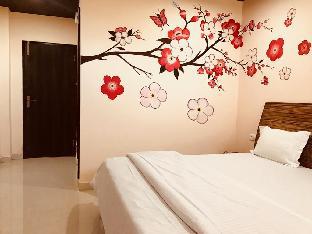The Panda,India>>Dharamshala,1 star