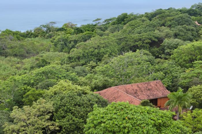hacienda barrigona