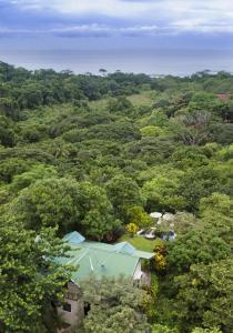 hacienda barrigona