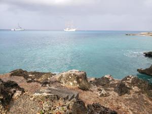 coral house san andres