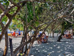 Blue Mango Beach Hotel,Calabazo>>Buritaca,3 star