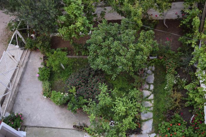 elena rooms and apartments