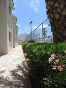 green bungalows hotel apartments