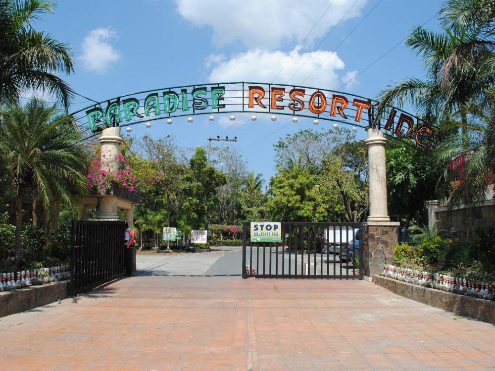 dj paradise hotel