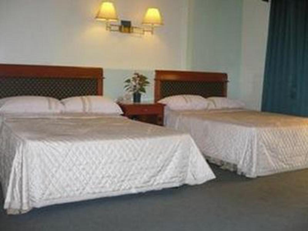 dj paradise hotel
