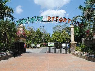 dj paradise hotel