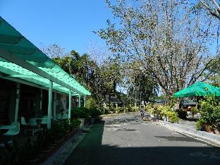 dj paradise hotel