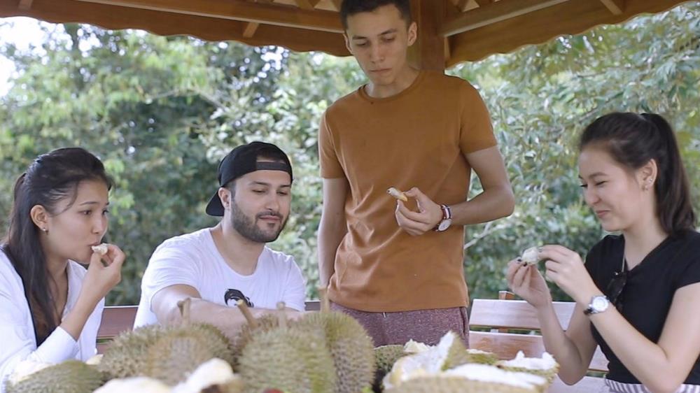 karak orchard resorts