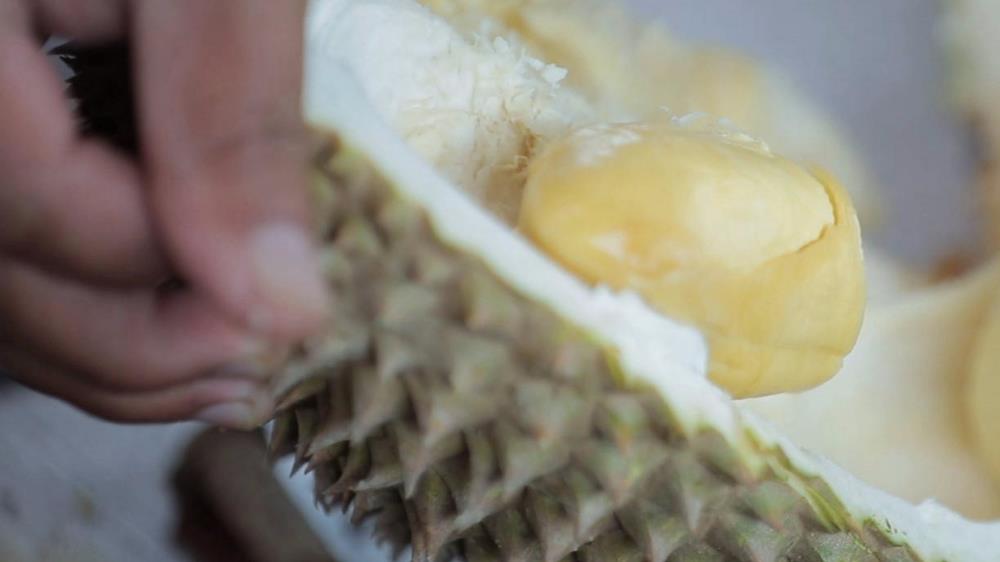 karak orchard resorts