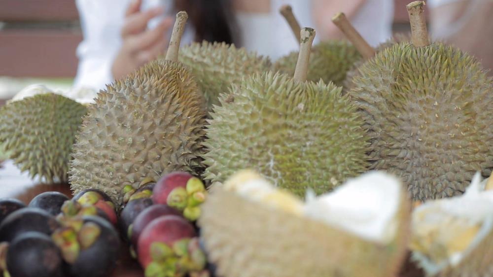 karak orchard resorts