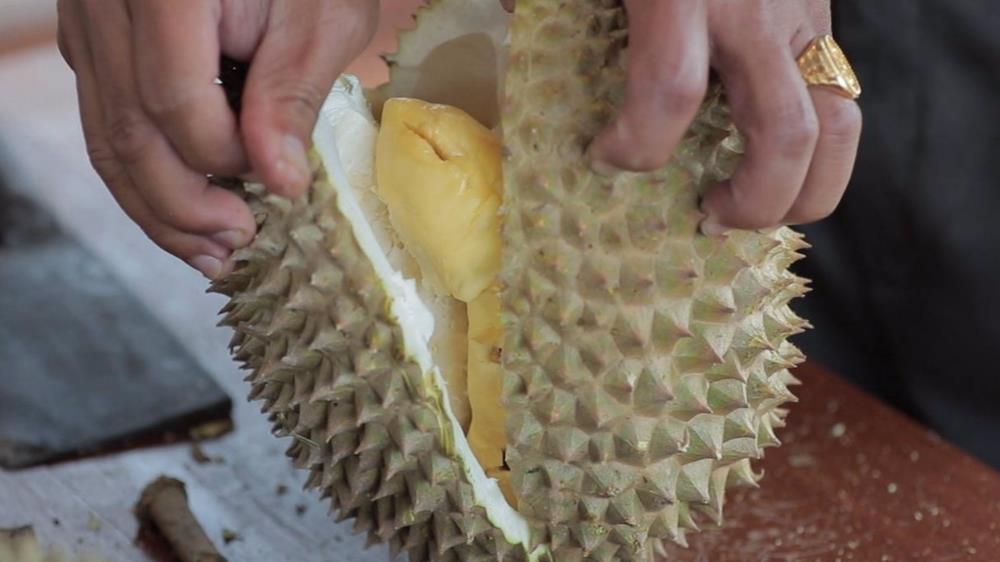 karak orchard resorts