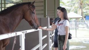 karak orchard resorts