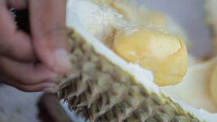 karak orchard resorts