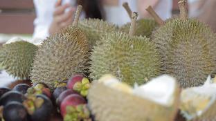 karak orchard resorts