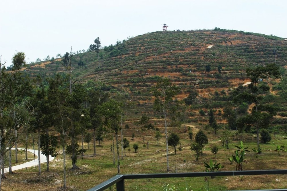 karak orchard resorts