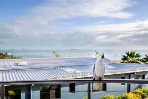Toscana Village Resort,Great Barrier Reef>>Airlie Beach,4 star