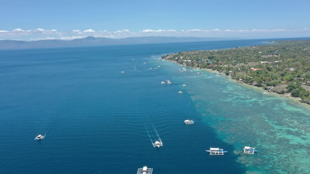 oslob new village by cocotel adults only