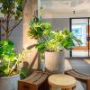 lub d bangkok siam hostel