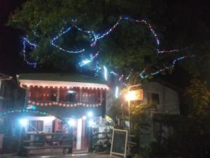 Downtown Montezuma Hostel,,3 star