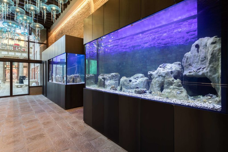 hotel aquarius venice