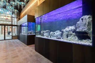 hotel aquarius venice