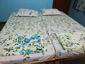 Om Trance Homestay,40 Kalyan Nagar 3Rd Tonk Rd Beside,2 star