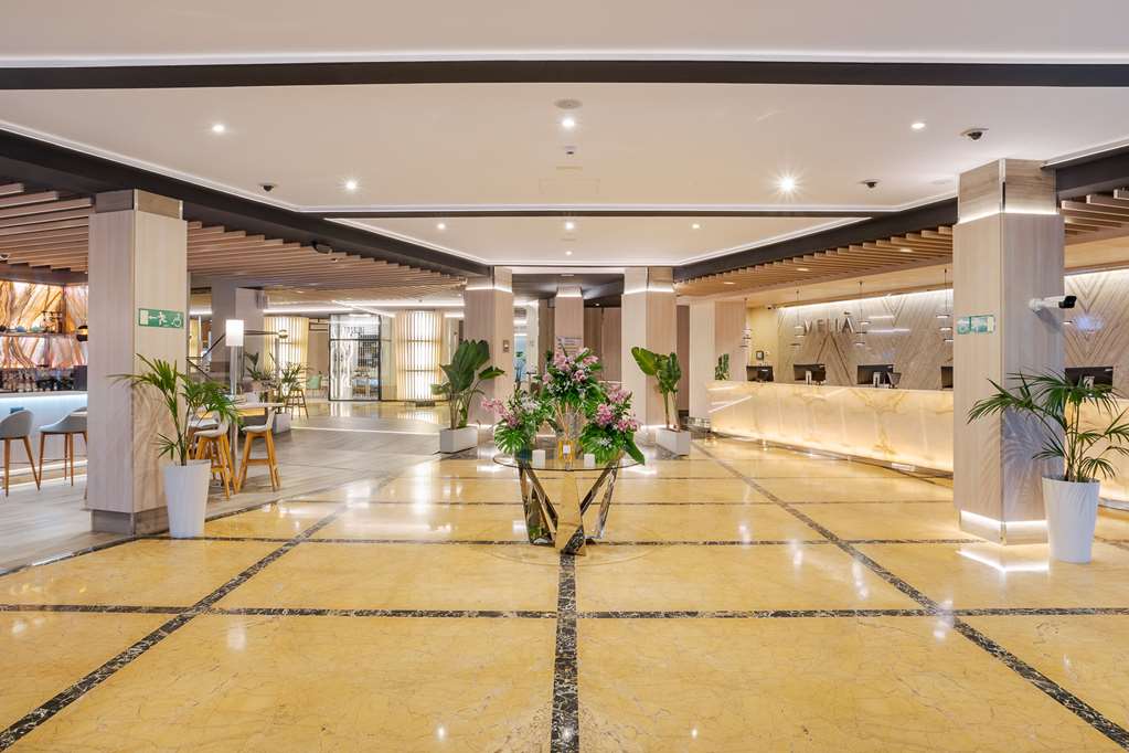 the level at melia alicante adults only