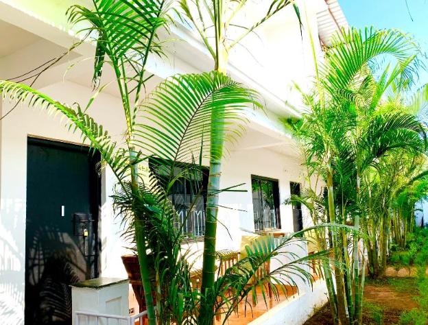 crystall goa onyx edition