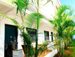 crystall goa onyx edition