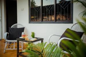 crystall goa onyx edition