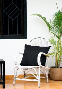 crystall goa onyx edition