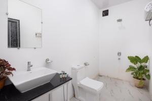 crystall goa onyx edition