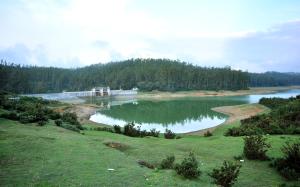 ooty