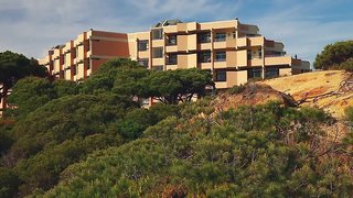 auramar beach resort