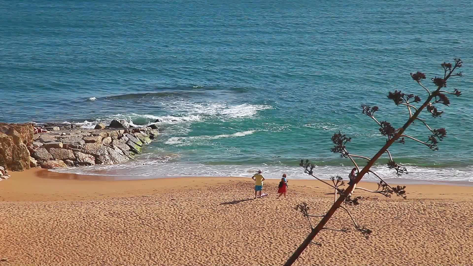 auramar beach resort