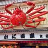 dotonbori hotel