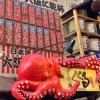 dotonbori hotel