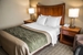 quality inn and suites
