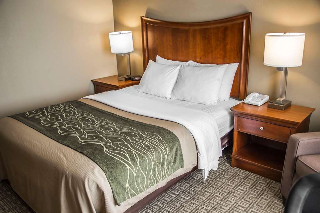 quality inn and suites