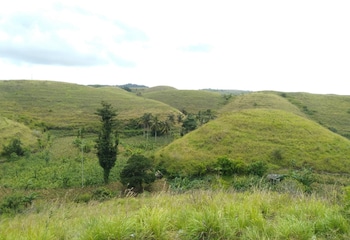 dungkap mount view