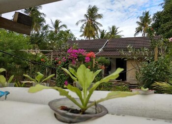 the this kon gili meno