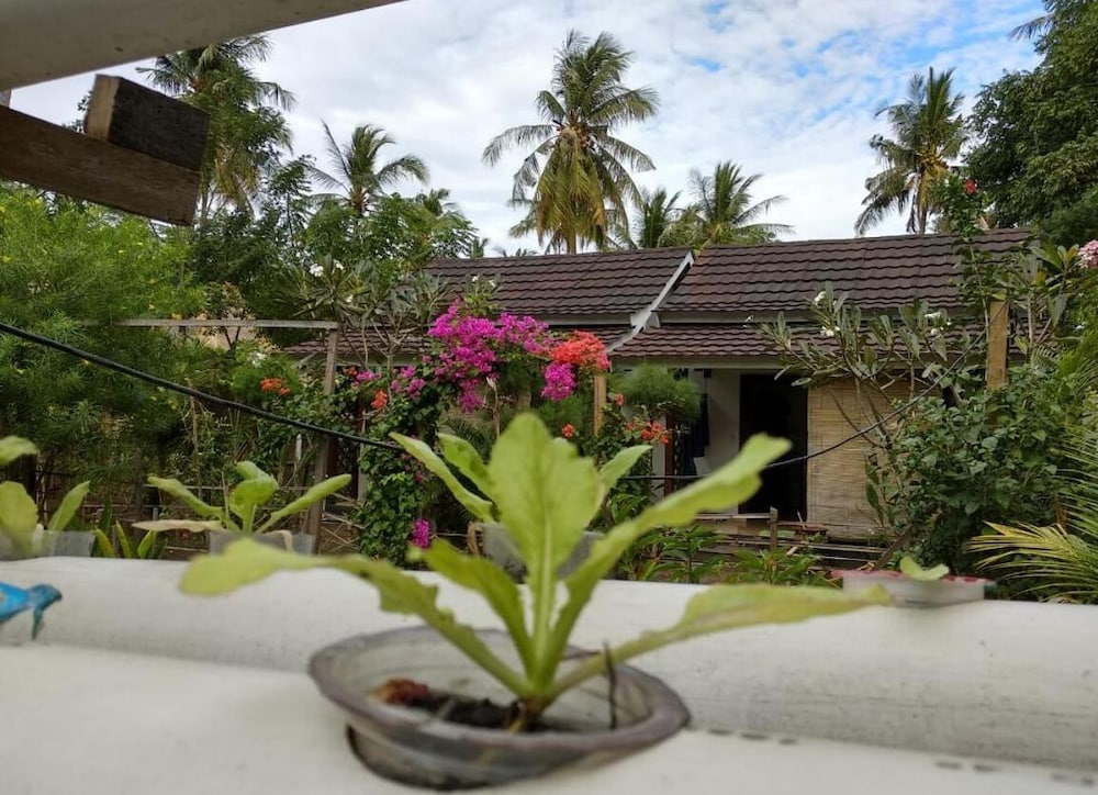 the this kon gili meno