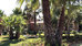 quinta do mar country and sea village