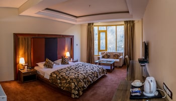 hotel d meadows ladakh