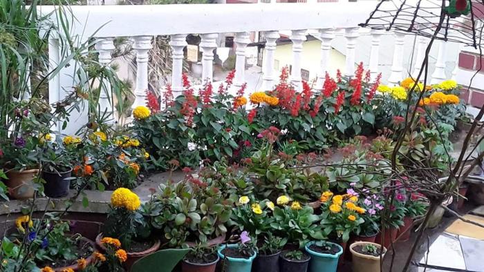 vamoose madhumita homestay
