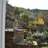 solan